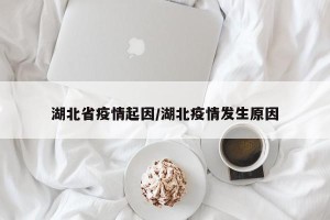 湖北省疫情起因/湖北疫情发生原因